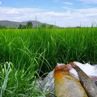 Solar Water Pump Manufacturers in Chennai